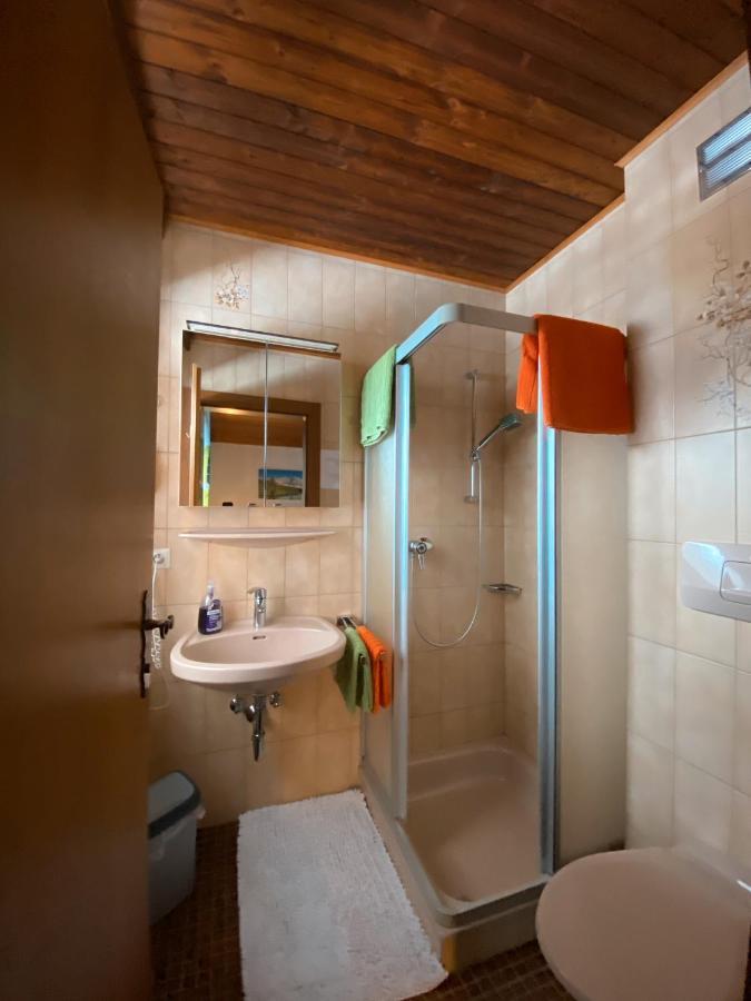 Haus Ratgeb Daire Filzmoos Dış mekan fotoğraf