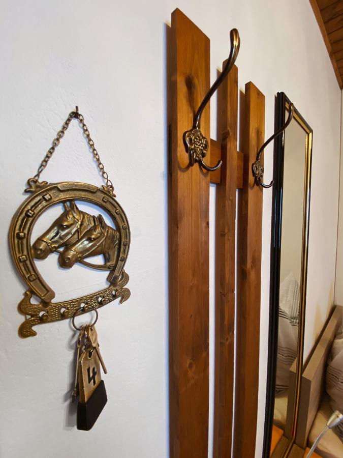 Haus Ratgeb Daire Filzmoos Dış mekan fotoğraf